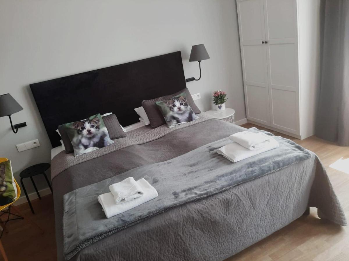 Apartamenty Koci Ogon Torun Exterior photo